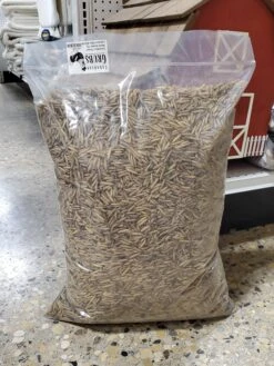 Black Soldier Fly Larvae 6.6lb -Canadian Grubs