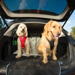 KURGO Cargo Cape - Grey -PetNCoop Store Kurgo Cargo Carrier 53552.1485375114