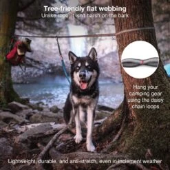 Kurgo Ridgeline Tie Out -PetNCoop Store Kurgo RidgelineB Webbing