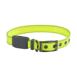 Nite Ize Rechargeable LED Collar M Lime