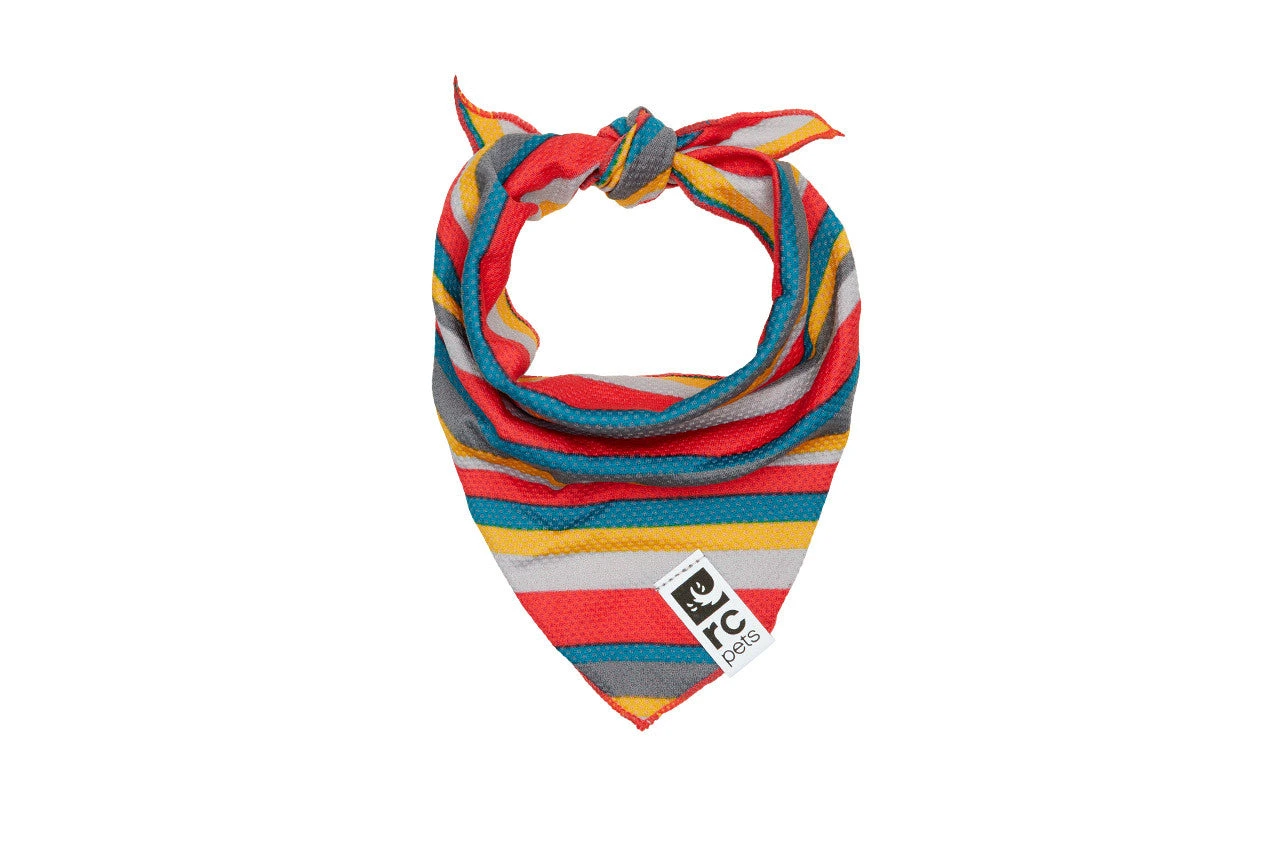 RC Pets Zephyr Cooling Bandana - Image 8