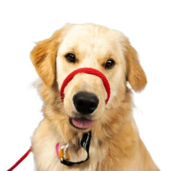 Heather's Heroes Sidekick 3/8"