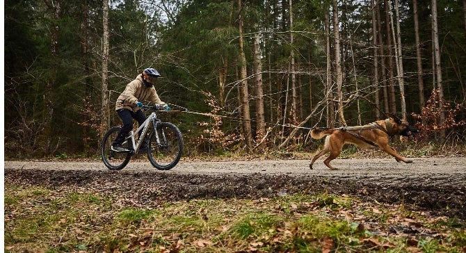 Non-Stop Dog Wear Leash Touring 2.8M 7 Non-Stop Dog Wear Leash Touring 2.8M - Image 5