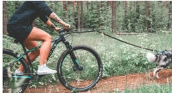 Non-Stop Dog Wear Bike Antenna Bikejoring -PetNCoop Store Screenshot 15 5 2024 95059 www.nonstopdogwear.com