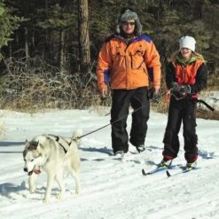 Brand SKI-JORING BELT MEDIUM