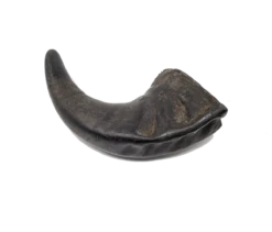 Open Range Water Buffalo Horn