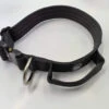 BULLY WAGTACTICAL COLLAR W/HANDLE