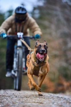 Non-Stop Dog Wear Leash Touring 2.8M 11 Non-Stop Dog Wear Leash Touring 2.8M -PetNCoop Store bv1buibg