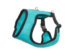 Cirque Harness XXXSmall -PetNCoop Store cir teal 3f41233c 3e3b 4cda 8299 9b36ba4df522