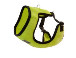 Cirque Harness XXXSmall -PetNCoop Store cirq lime 685c0949 f4c3 4b4e b6dc b636d978c1e4