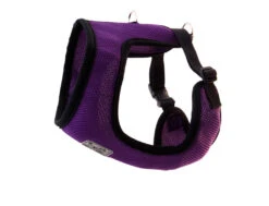 Cirque Harness XXXSmall -PetNCoop Store cirq purp bca8c574 3222 4da4 8cfe 281e55ef66ac
