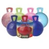Jolly Ball Equine W/Handle 10" -PetNCoop Store f9e23b2cbaa603e26377add47de6144b