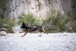 Non-Stop Dog Wear Freemotion Dog Harness WD -PetNCoop Store hwhmoavv