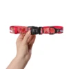 Catso & Co Pet Collar Oh Canada