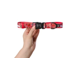 Catso & Co Pet Collar Oh Canada