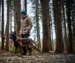 Non-Stop Dog Wear Freemotion Dog Harness WD -PetNCoop Store ihj9vrw4