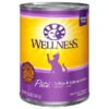 Wellness Cat Turkey & Salmon 12.5oz -PetNCoop Store image processing20200711 29612 bvu6kj