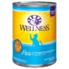 Wellness Cat Chicken & Herring 12.5oz -PetNCoop Store image processing20200711 29612 dp3p7j