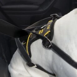 KURGO Impact Seatbelt Harness -PetNCoop Store impact