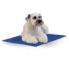 K & H Cooling Pad Medium 15x20" 1 K & H Cooling Pad Medium 15x20" -PetNCoop Store k h coolin pet pad medium