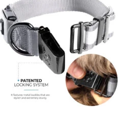 LED Dog Collar - Grey -PetNCoop Store led dog collar grey 448984