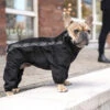 Canada Pooch Snow Suit Sz 26 -PetNCoop Store m 624a403a8da5c92fbaae7bbc 74a0df0c 120d 4127 a188 164db1fa2043