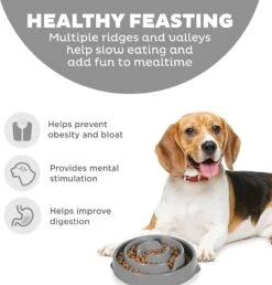 Slow Feeder Dish Grey Medium Outward Hound -PetNCoop Store outwardhounddishgrey