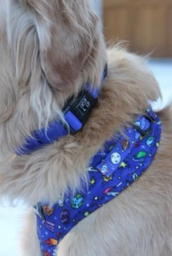 Catso & Co Pet Collar Galaxy
