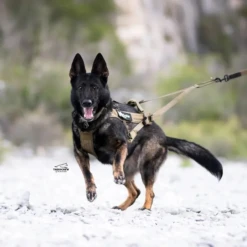 Non-Stop Dog Wear Freemotion Dog Harness WD -PetNCoop Store poa3u0pr