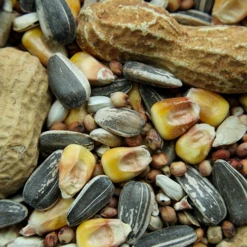 JAY'S PICK SEED MIX 9 KG