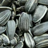 STRIPED SUNFLOWER SEED 9KG