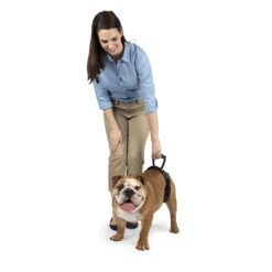Lifting Harness Rear Only 35-70lb -PetNCoop Store rear support harness m woman handles 1080