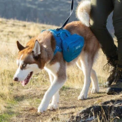 Kurgo RSG Pannier Pack -PetNCoop Store rsg pack 4 12 18 cmyk 91393.1568213507