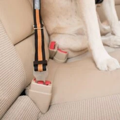 KURGO Direct Seatbelt Tether -PetNCoop Store seat belt teather