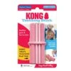 Kong Puppy Teethiung Stick -PetNCoop Store teethingstickpink