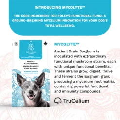 Foley's Functional Fungi Dog Anxiety&Allergy Blueberry 200g -PetNCoop Store vsytp9um